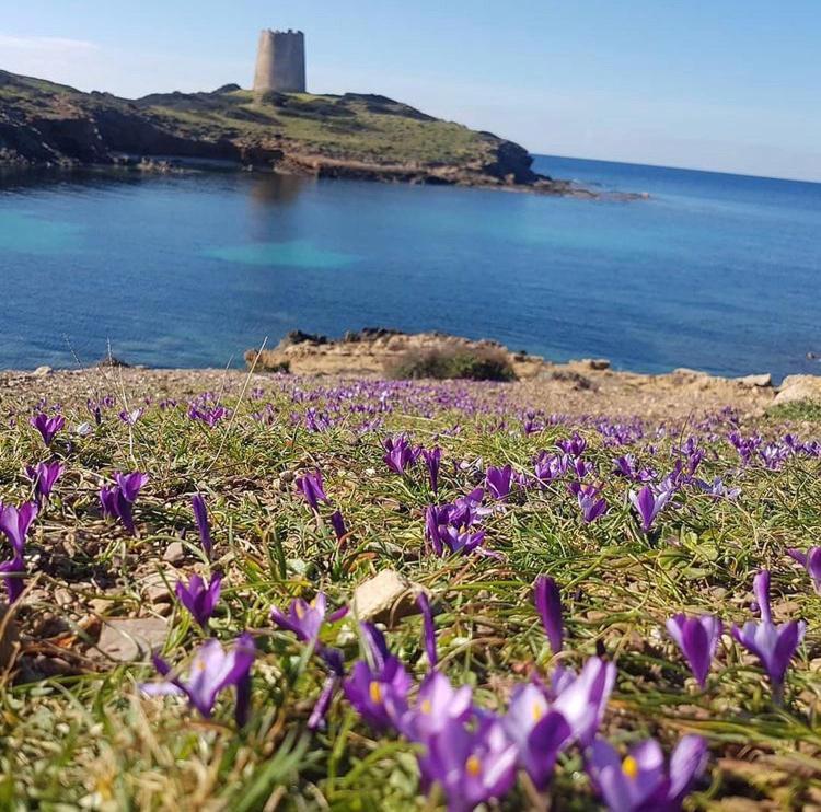 Domus Deiana Case Vacanza San Giovanni Suèrgiu Buitenkant foto