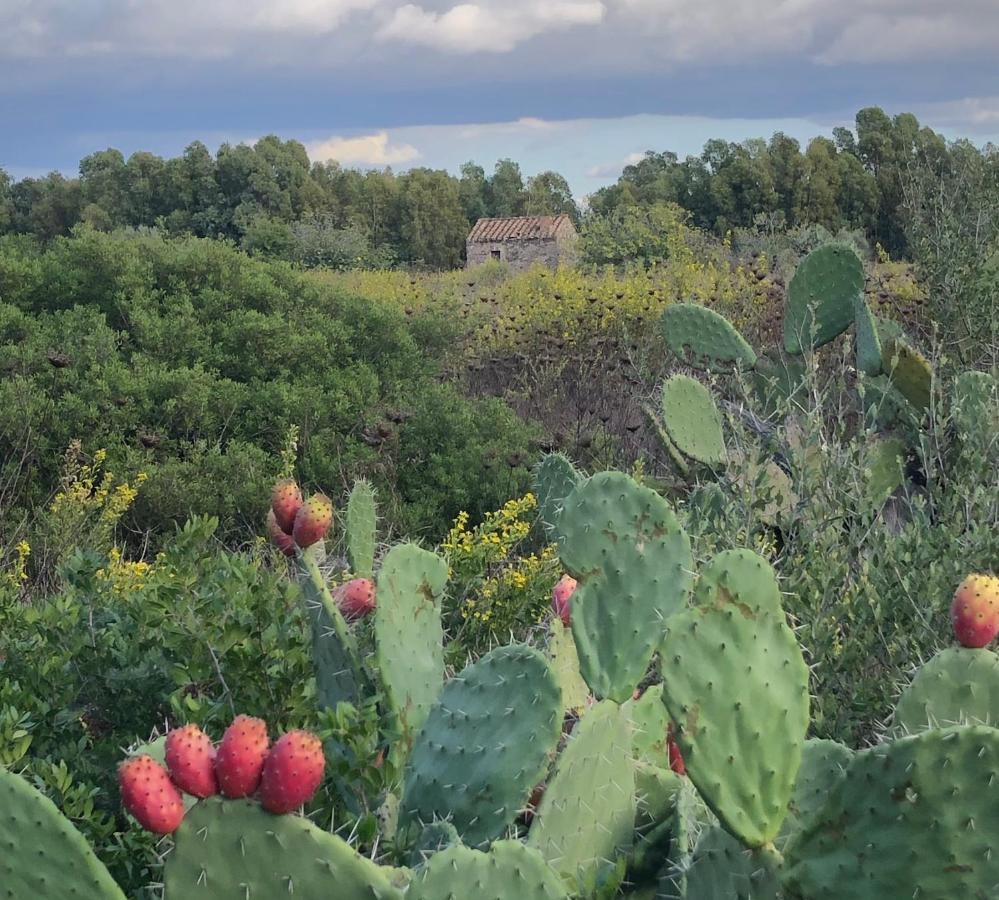 Domus Deiana Case Vacanza San Giovanni Suèrgiu Buitenkant foto